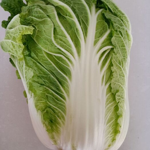 定州市黄心大白菜  我基地大量供应玲珑黄，北京新三号，莴笋，甘蓝！