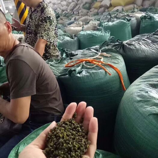 成都 江津青花椒 云南青花椒  基地货 批发