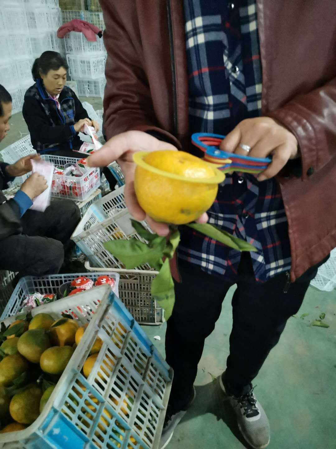 《实力》不知火，丑八怪 大炮 电商 社团 市场 商超 外贸