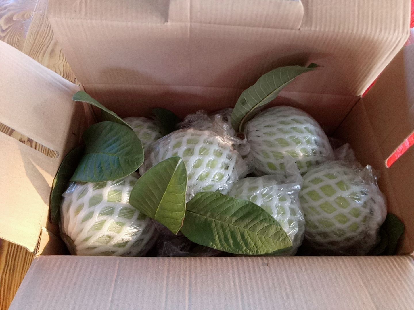 白心番石榴 珍珠番石榴白心