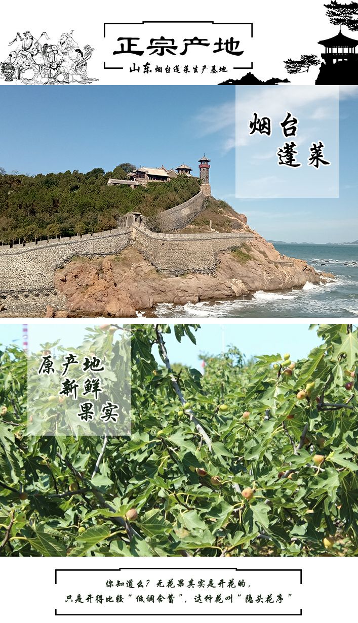 蓬莱仙境无花果干，鲜果烘干，无糖 口感软糯香甜