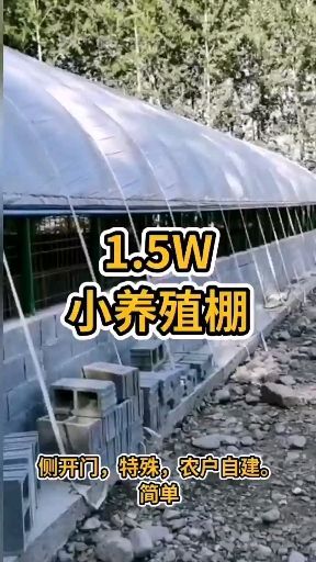 天津单体棚 