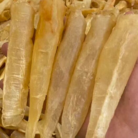 广州花胶  安南鳘鱼胶筒，不腥，清水，胶质靓，营养价值高