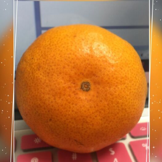 宜昌蜜桔  宜昌正宗精品窑湾蜜橘，口感甜蜜细腻无渣