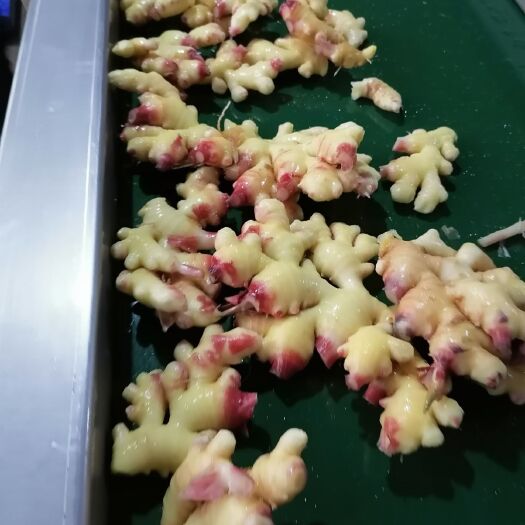 惠水县 小黄姜