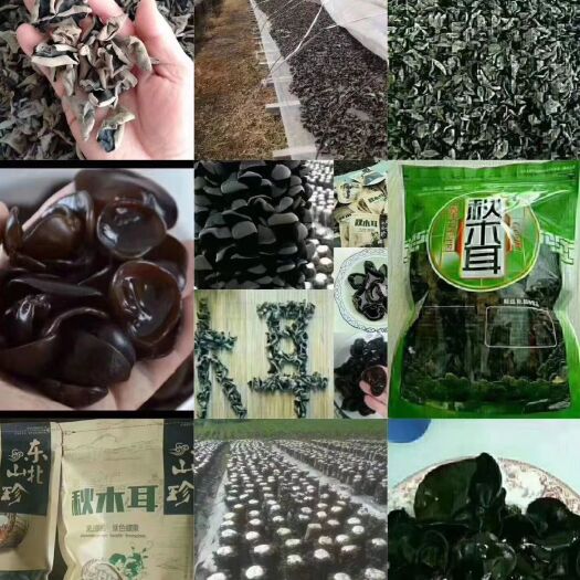 扶余市天然野生木耳