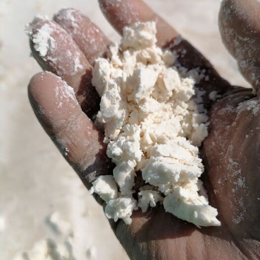 建昌县红薯淀粉 通货