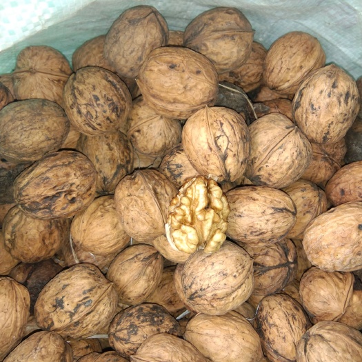 盐源县大优1号  大优核桃壳薄，肉多含油量高，美味就在身边。
