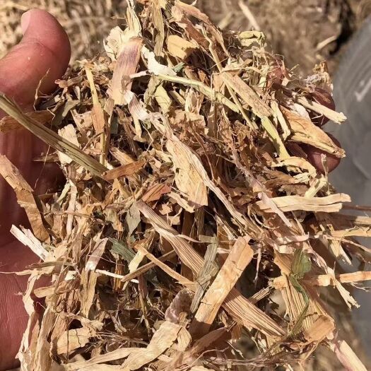 利辛县精品干柔丝粉碎玉米秸秆