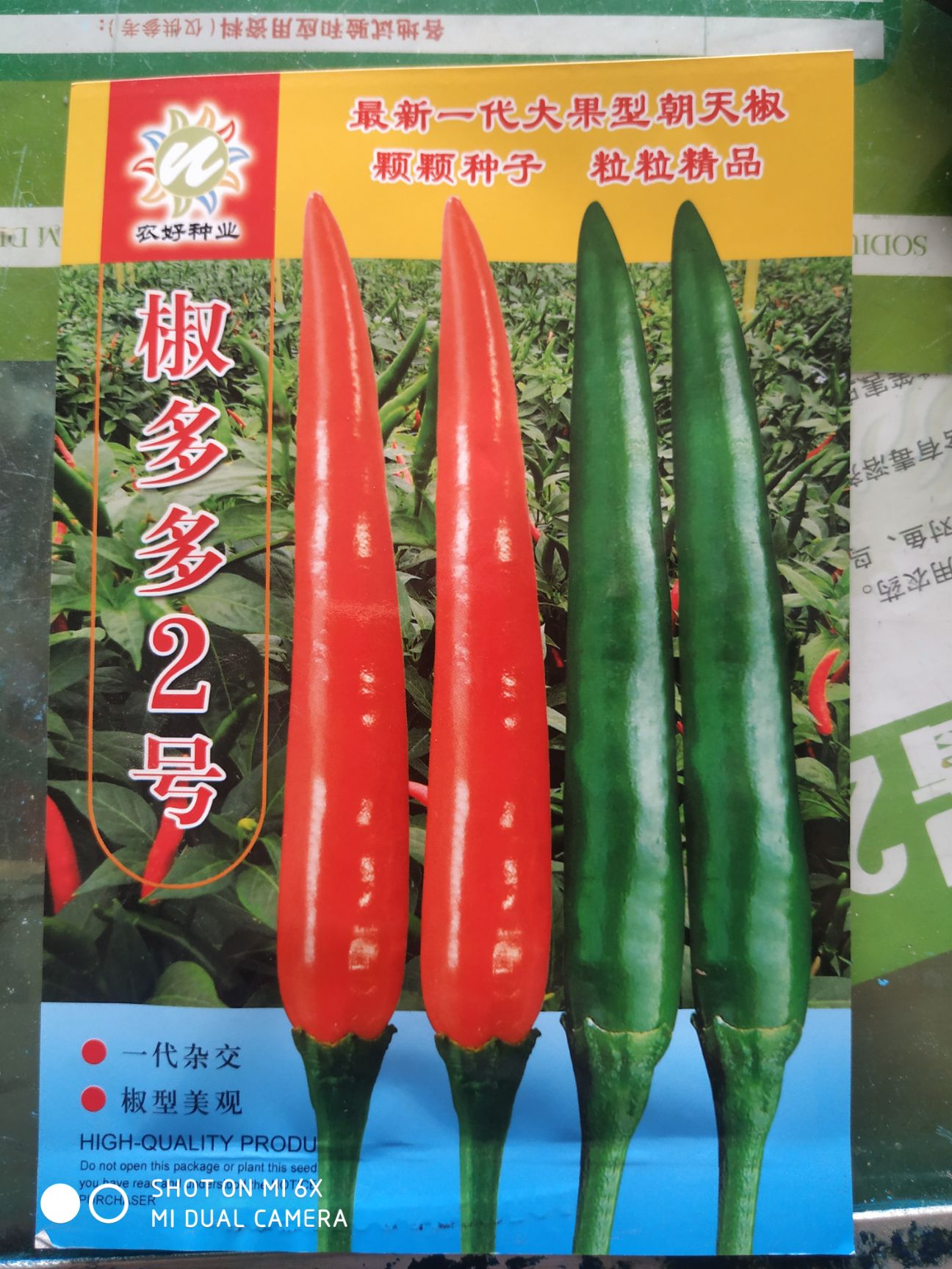 商丘朝天椒种子椒多多2号早熟果面光滑红润耐老