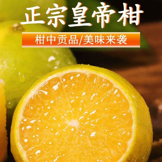 仁化县广东特产丹霞皇帝柑