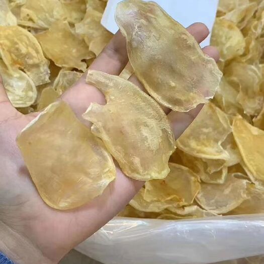 阳江 📢鱼胶，小米胶新货个头小肉质丰厚。胶原蛋白丰富