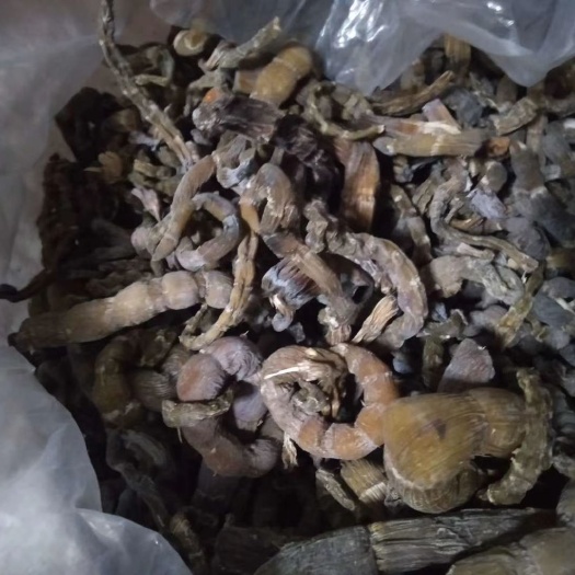 筠连县 刺竹笋干，天然产品，口感好，干度嫩度都很好