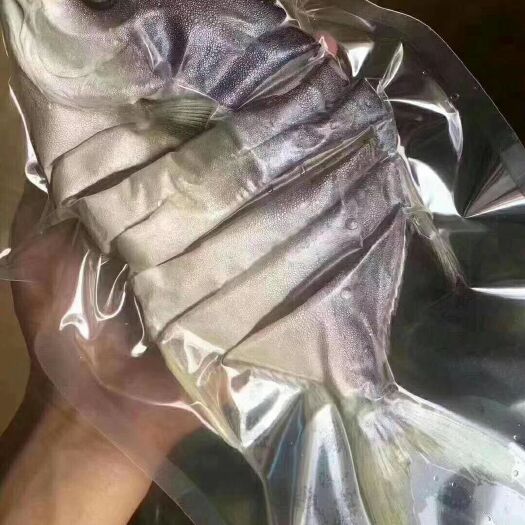 阳江金鲳鱼干，七成干，淡晒，可批可散称。试吃装200g.