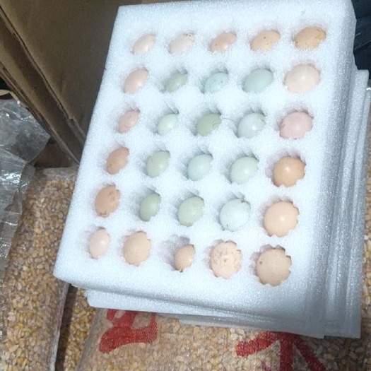 乐至县绿壳鸡蛋  全散养