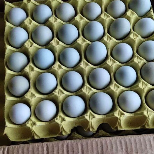 土鸡蛋  鸡场直发绿壳蛋，12个一斤，包破损武汉发
