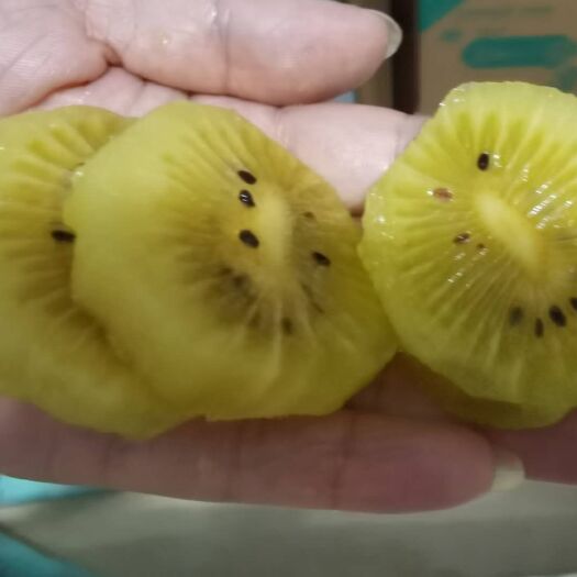 澧县黄心猕猴桃 黄芯猕猴桃，电商微商一件代发 团购批发整车落地配商超供应