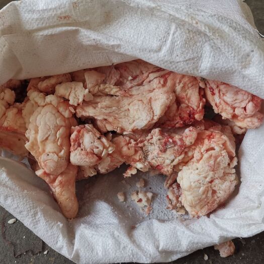 库尔勒市牛油  牛肚油腰油混装  现货100吨，每月200吨