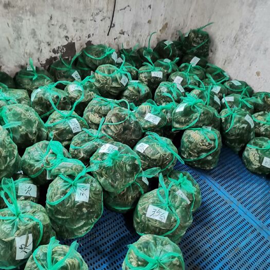 盐城兴化大闸蟹盐城大闸蟹螃蟹红膏蟹母公蟹批发螃蟹