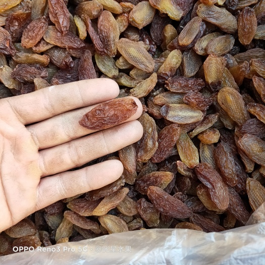 鄯善县大颗粒红香妃葡萄干40斤  航运，整车支持  包邮