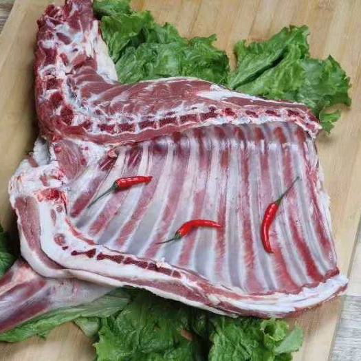 盐池县羊排骨 盐池滩羊肉羊排