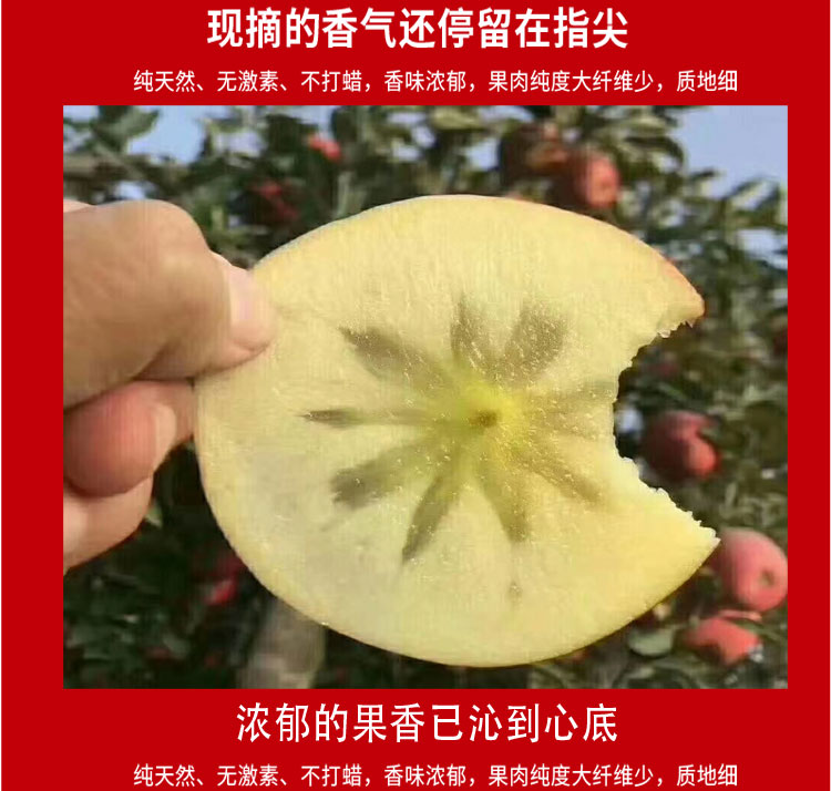 阿克苏红旗坡冰糖心苹果产地直销，落地配、整车批发，一件代发