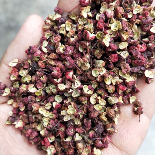 陇南大红袍花椒 武都花红椒，打粉专用