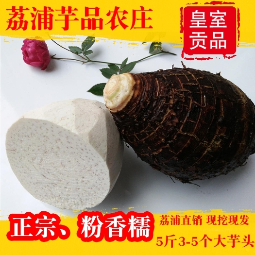 荔浦市新鲜荔浦芋头正宗广西农家自种现挖香芋大粉槟榔紫藤利蒲毛芋包邮