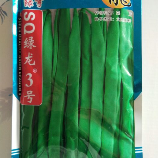 厦门扁豆种子 绿龙3号