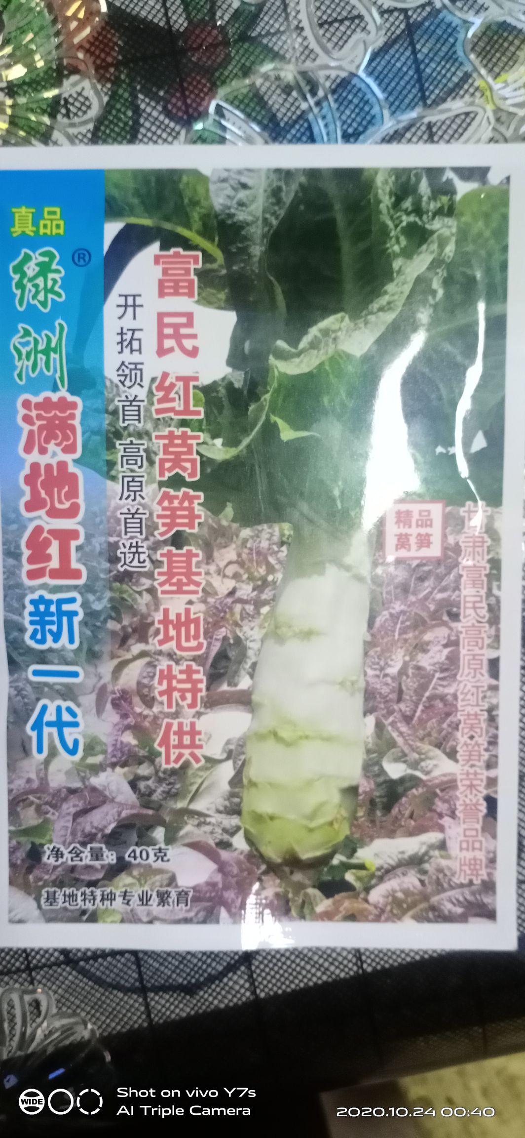 莴笋种子  红尖叶莴笋，耐寒不耐热，产量最高达到一亩地一万五千斤。