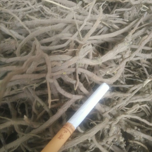 襄汾县黄芩 小统干货
