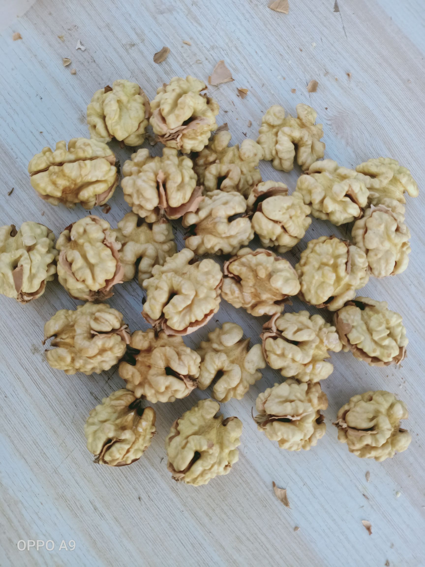 新疆核桃 各种核桃。核桃仁