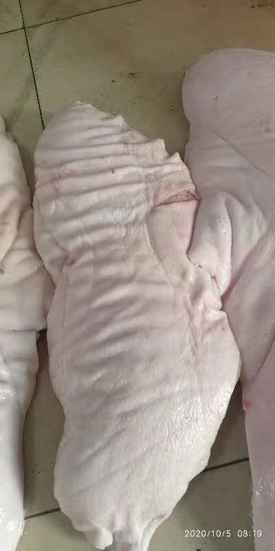 长沙猪槽头肉  长条槽头