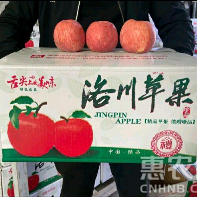 [洛川扶贫项目]陕西洛川红富士新鲜脆甜苹果现摘现发大宗批发