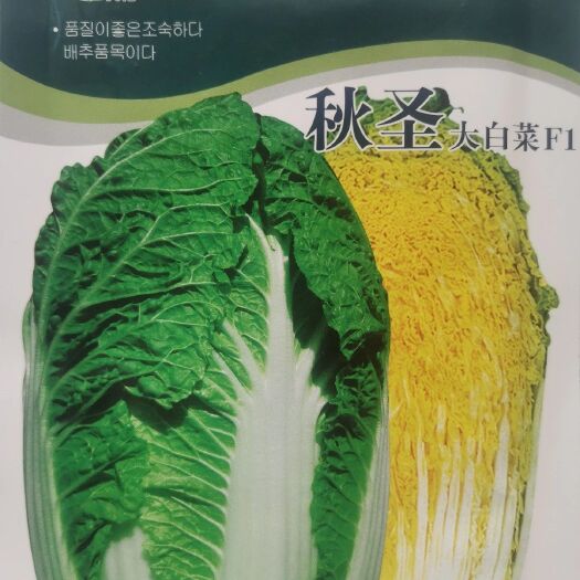 商丘韩国秋圣抗白菜根肿抗霜霉抗软腐大白菜种子