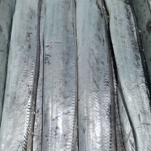 宁波精选（舟山带鱼）产地厂家直供，冻品小包装，货真价实，。