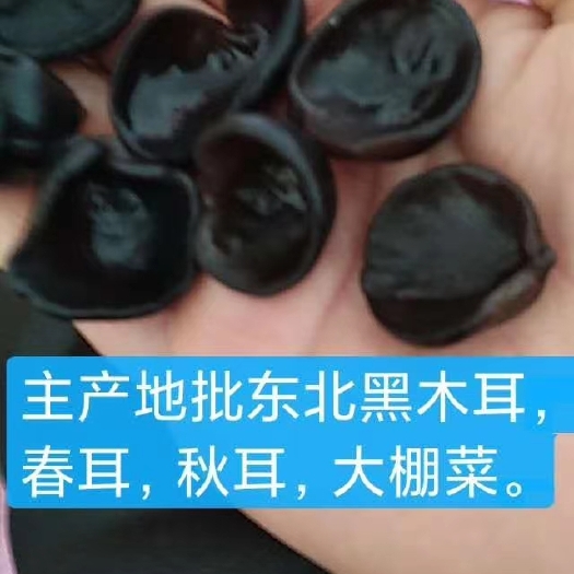 绥芬河市东北黑木耳  木耳主产地批发各种木耳