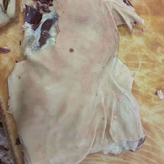 天津羊肉类 带皮整羊肉