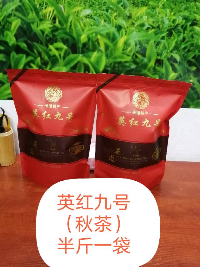 英红九号茶
