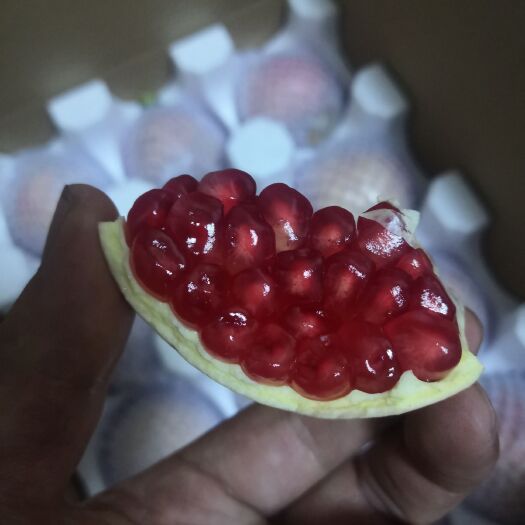 临猗县灵宝石榴 北畔甜石榴