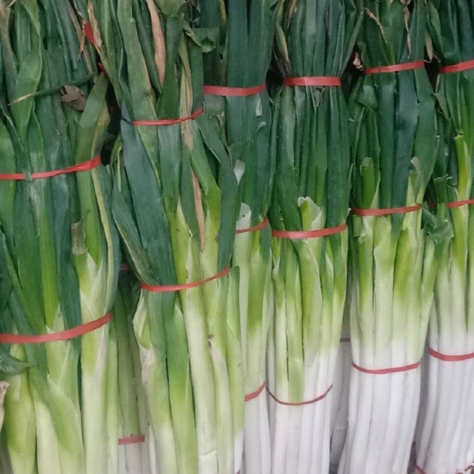 济南精品章丘大葱。地道章丘味