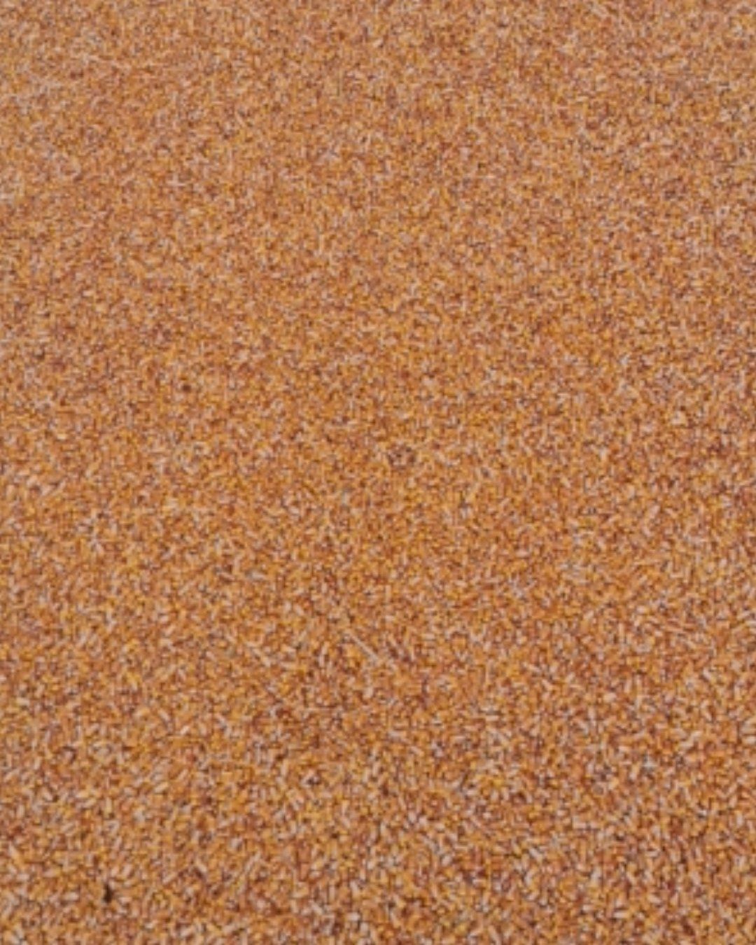 干玉米  玉米各种水分，自然干烘干