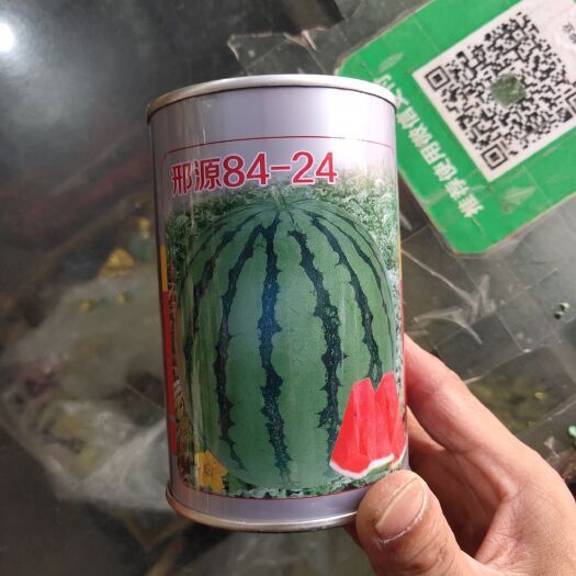 夏邑县早佳8424西瓜种子  邢源84－24，大红瓤，抗裂！