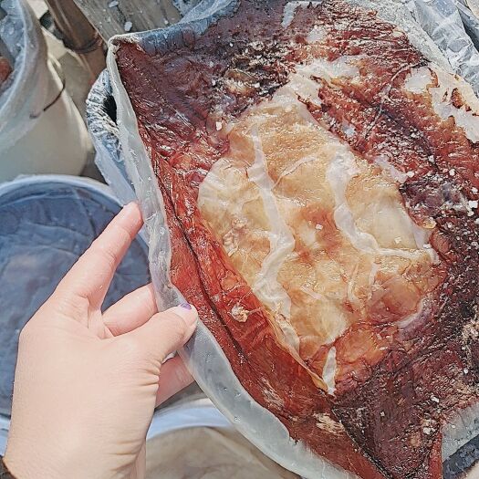 东海海蜇  明蜇皮，大量新货，新货新到家，一盒净重5斤，
