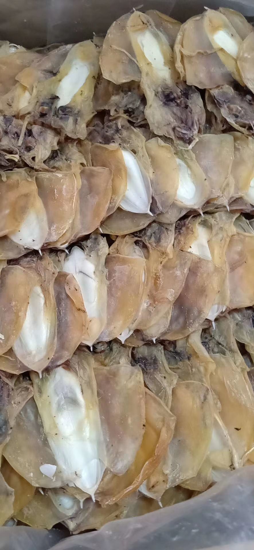 墨鱼干