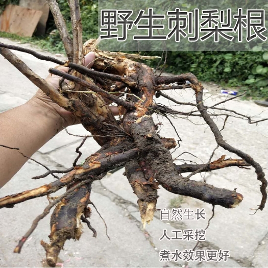 内江中药材刺梨根.刺梨根，干货切片 自然晒干  刺梨枢