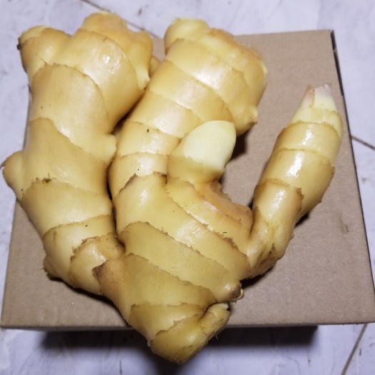 北镇市一件代发 精品大黄姜 带泥和水洗 薄利多销欢迎电商合作