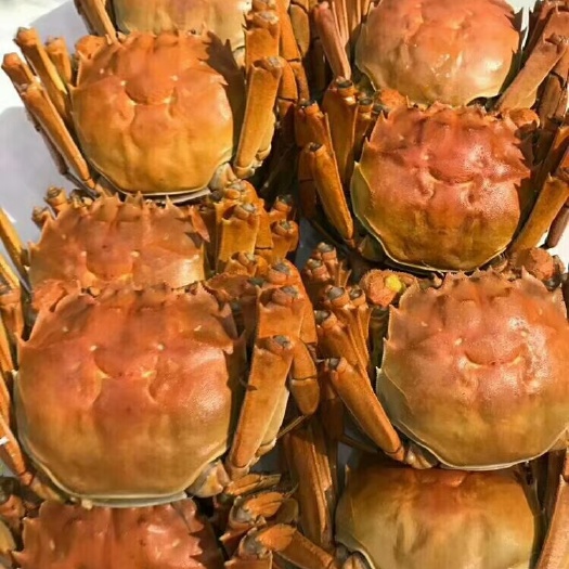 武宁县 大闸蟹