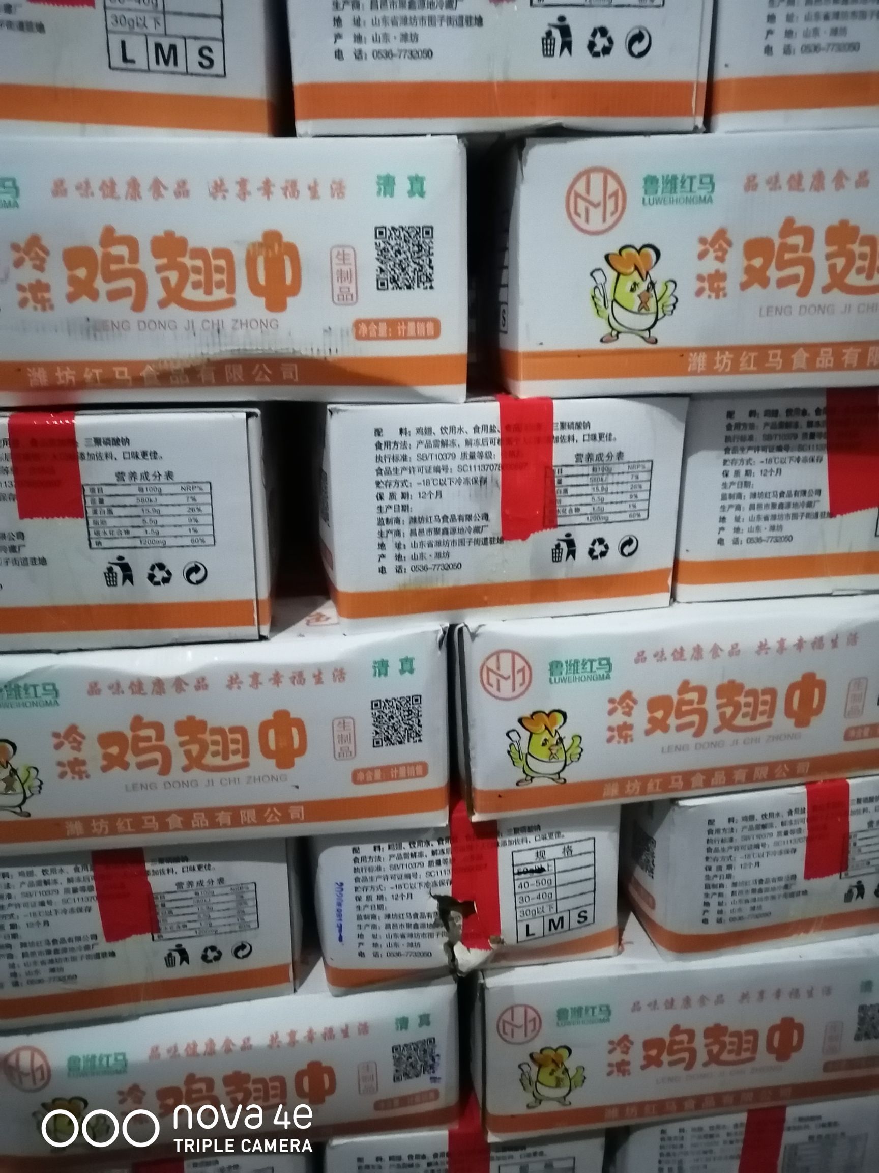 翅中