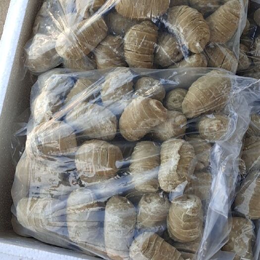 郑州水面筋 手工面筋，厂家批发，品质保证